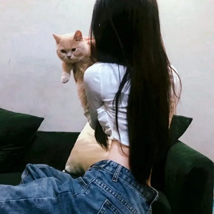 黑楼孤魂